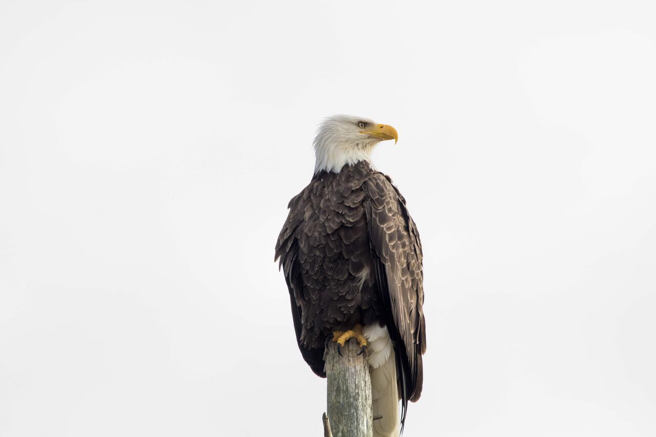 Eagles View Condo In Ocean Shores With 3 Balconies Ngoại thất bức ảnh